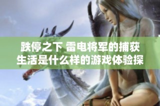 跌停之下 雷电将军的捕获生活是什么样的游戏体验探究