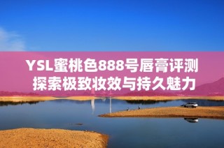 YSL蜜桃色888号唇膏评测 探索极致妆效与持久魅力