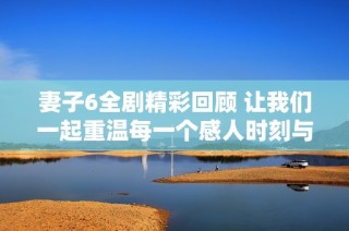 妻子6全剧精彩回顾 让我们一起重温每一个感人时刻与剧情发展