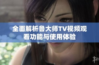 全面解析鲁大师TV视频观看功能与使用体验