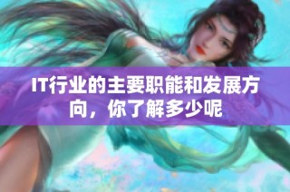 IT行业的主要职能和发展方向，你了解多少呢