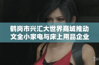 鹤岗市兴汇大世界商城推动文全小家电与床上用品企业发展新机遇