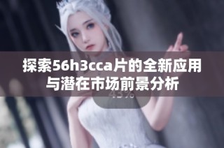 探索56h3cca片的全新应用与潜在市场前景分析