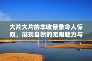 大片大片的丰收景象令人惊叹，展现自然的无限魅力与生机