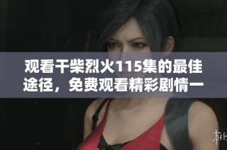 观看干柴烈火115集的最佳途径，免费观看精彩剧情一网打尽