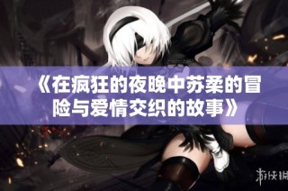 《在疯狂的夜晚中苏柔的冒险与爱情交织的故事》