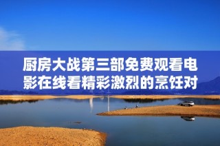 厨房大战第三部免费观看电影在线看精彩激烈的烹饪对决