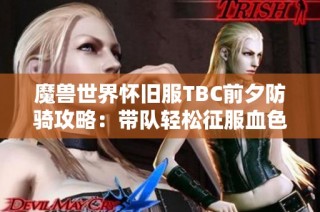 魔兽世界怀旧服TBC前夕防骑攻略：带队轻松征服血色经典副本技巧解析