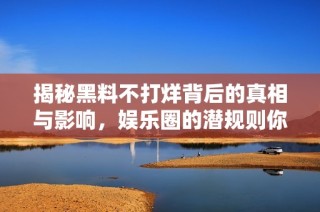 揭秘黑料不打烊背后的真相与影响，娱乐圈的潜规则你了解多少