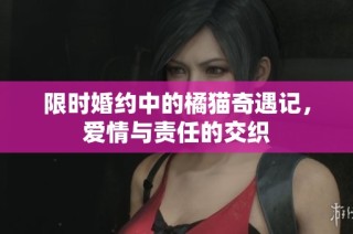 限时婚约中的橘猫奇遇记，爱情与责任的交织