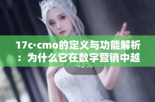 17c·cmo的定义与功能解析：为什么它在数字营销中越来越重要