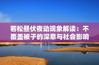若松昼伏夜动现象解读：不覆盖被子的深意与社会影响