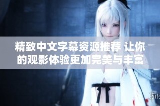 精致中文字幕资源推荐 让你的观影体验更加完美与丰富