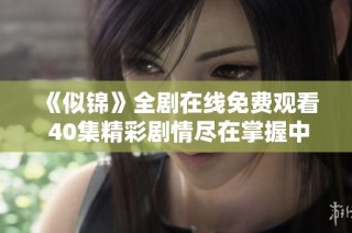 《似锦》全剧在线免费观看 40集精彩剧情尽在掌握中