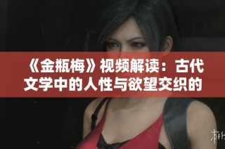 《金瓶梅》视频解读：古代文学中的人性与欲望交织的复杂故事