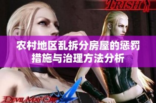 农村地区乱拆分房屋的惩罚措施与治理方法分析
