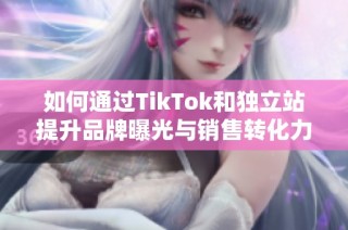 如何通过TikTok和独立站提升品牌曝光与销售转化力