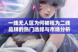 一线无人区为何被视为二线品牌的热门选择与市场分析
