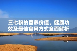 三七粉的营养价值、健康功效及最佳食用方式全面解析
