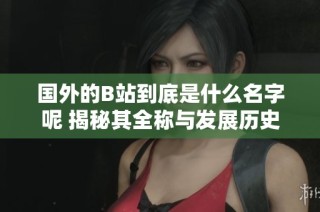 国外的B站到底是什么名字呢 揭秘其全称与发展历史