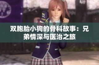 双胞胎小狗的骨科故事：兄弟情深与医治之旅