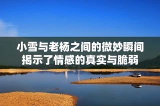 小雪与老杨之间的微妙瞬间揭示了情感的真实与脆弱