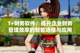 T+财务软件：提升企业财务管理效率的智能选择与应用探讨