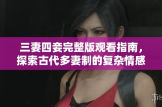 三妻四妾完整版观看指南，探索古代多妻制的复杂情感世界