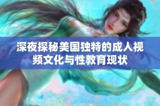 深夜探秘美国独特的成人视频文化与性教育现状