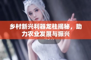 乡村新兴利器龙柱揭秘，助力农业发展与振兴