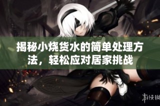 揭秘小烧货水的简单处理方法，轻松应对居家挑战