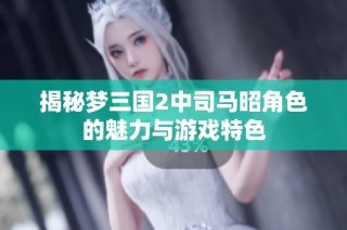 揭秘梦三国2中司马昭角色的魅力与游戏特色