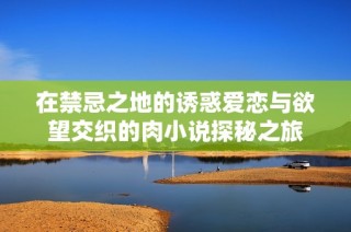 在禁忌之地的诱惑爱恋与欲望交织的肉小说探秘之旅