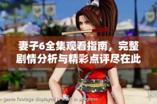 妻子6全集观看指南，完整剧情分析与精彩点评尽在此处！
