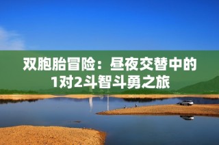 双胞胎冒险：昼夜交替中的1对2斗智斗勇之旅