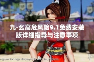 九·幺高危风险9.1免费安装版详细指导与注意事项
