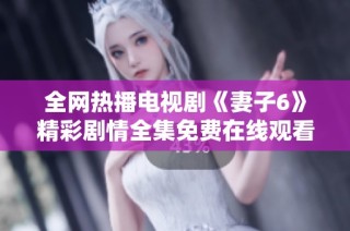 全网热播电视剧《妻子6》精彩剧情全集免费在线观看信息分享