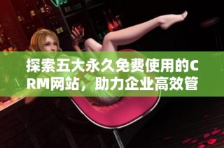 探索五大永久免费使用的CRM网站，助力企业高效管理客户关系
