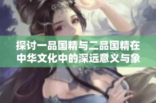 探讨一品国精与二品国精在中华文化中的深远意义与象征价值