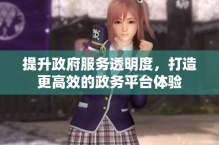 提升政府服务透明度，打造更高效的政务平台体验