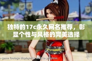 独特的17c永久网名推荐，彰显个性与风格的完美选择