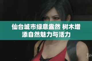 仙台城市绿意盎然 树木增添自然魅力与活力