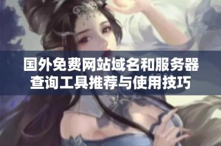 国外免费网站域名和服务器查询工具推荐与使用技巧