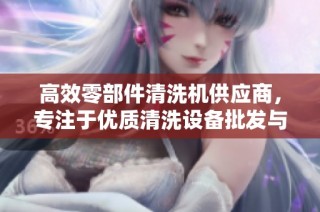 高效零部件清洗机供应商，专注于优质清洗设备批发与销售