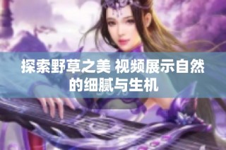 探索野草之美 视频展示自然的细腻与生机