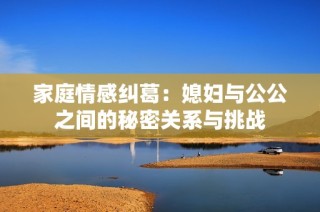 家庭情感纠葛：媳妇与公公之间的秘密关系与挑战