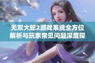 无双大蛇2游戏系统全方位解析与玩家常见问题深度探讨
