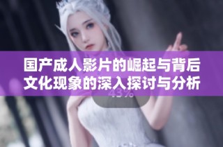 国产成人影片的崛起与背后文化现象的深入探讨与分析
