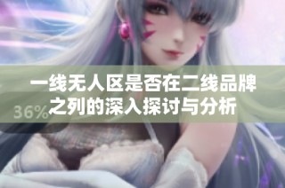 一线无人区是否在二线品牌之列的深入探讨与分析