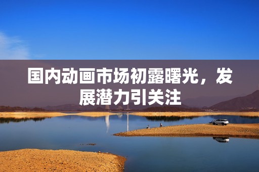 国内动画市场初露曙光，发展潜力引关注